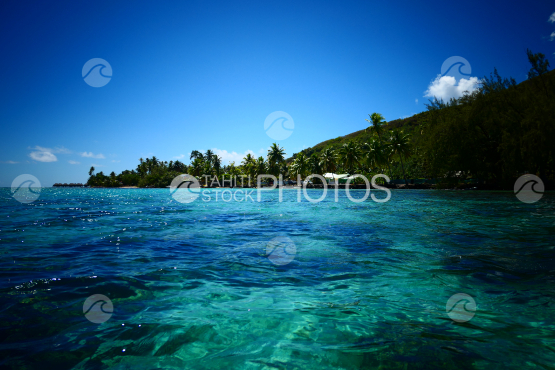Coast line of Moorea