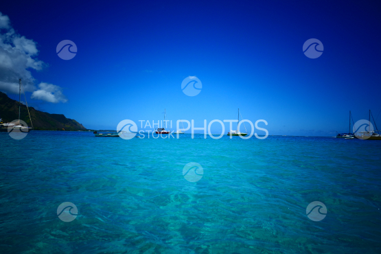 Coast line of Moorea