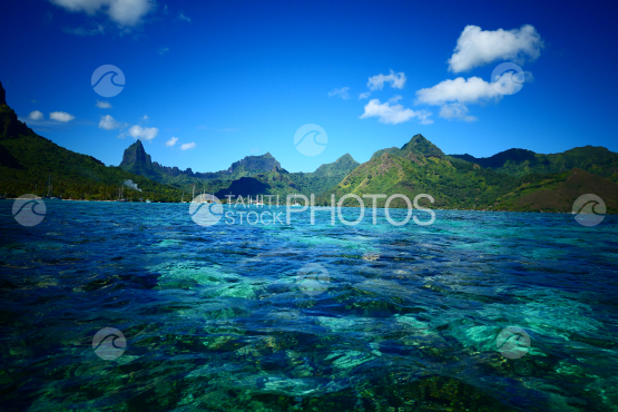Coast line of Moorea