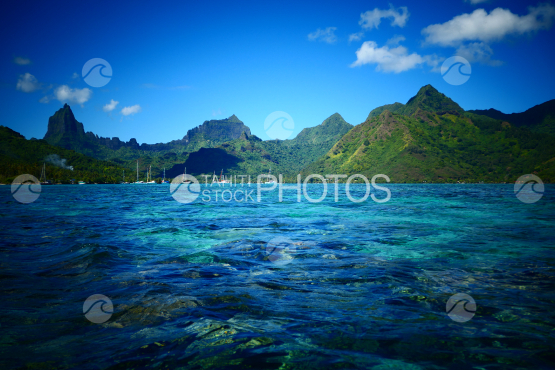 Coast line of Moorea