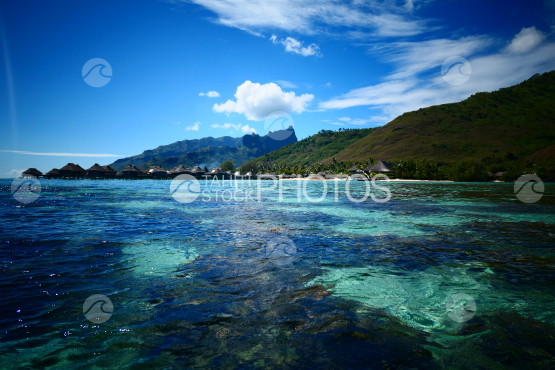 Coast line of Moorea