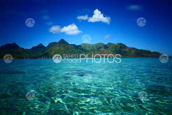 Coast line of Moorea