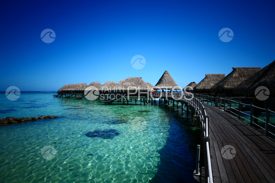 Typical polynesian luxury resort at Moorea