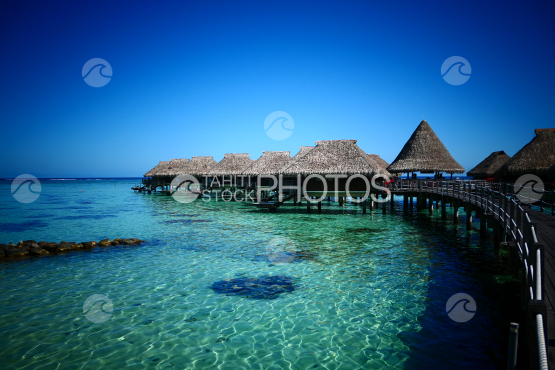 Typical polynesian luxury resort at Moorea