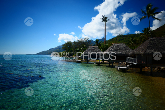 Typical polynesian luxury resort at Moorea