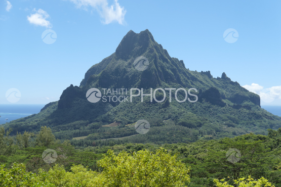 Mount Rotui shot from the Belvedere, Moorea