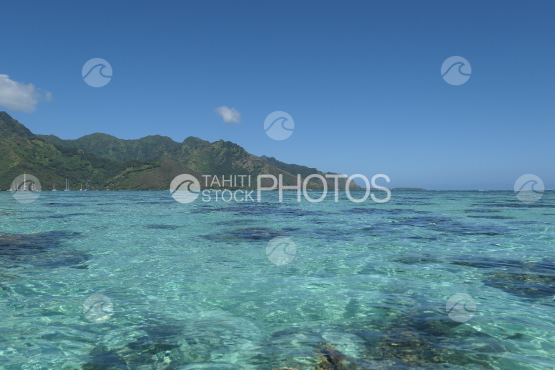 Lagoon of Moorea