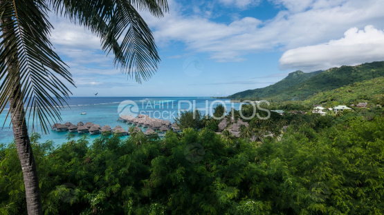 Bungalows sur Pilotis d un hotel luxueux dans le lagon de Moorea