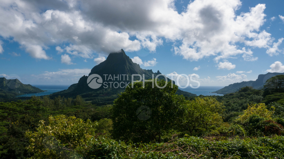 Belvédère de Moorea, vue panoramique sur les baies et le mont Rotui