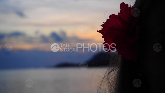 Femme regardant le lagon au coucher de soleil fleur d hibiscus à l oreillle