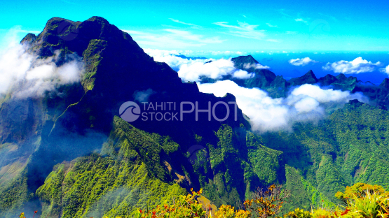 Montagnes de Tahiti, Au sommet du Mont Aorai
