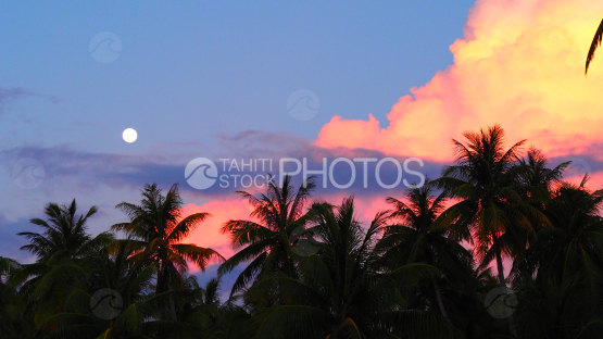 Pleine lune au dessus des cocotier au coucher de soleil