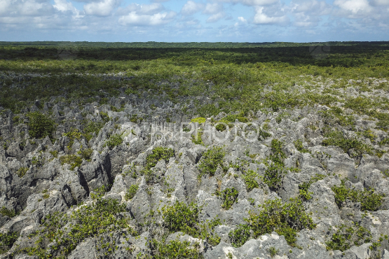 Makatea, vue aérienne des anciennes mines de phosphate