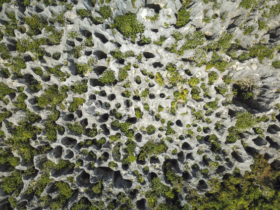 Makatea, vue aérienne des anciennes mines de phosphate