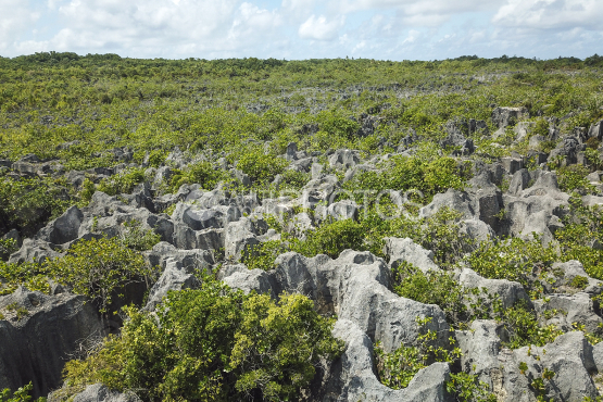 Makatea, vue aérienne des anciennes mines de phosphate