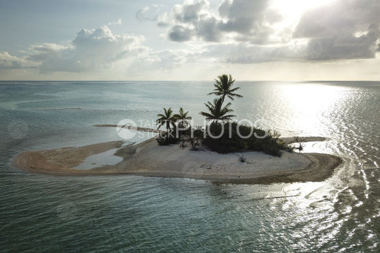Fakarava, vue aériennes d un ilots dans le lagon