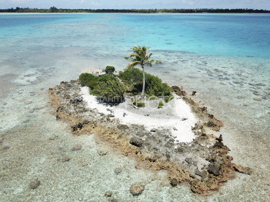 Fakarava, vue aérienne d un ilot dans le lagon