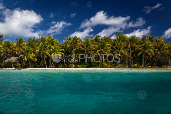 Belle vue d une cocoteraie et du lagon de Bora Bora