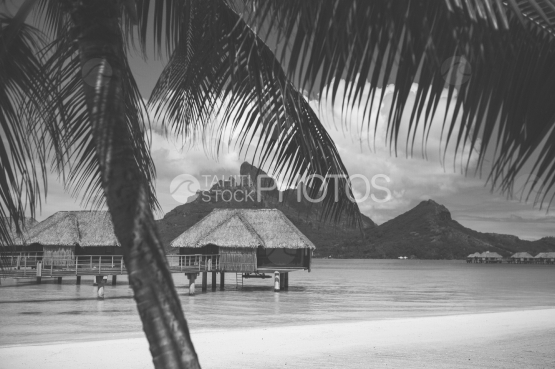 Jolie vue d un hotel luxueux et des bungalows sur pilotis dans la lagon de Bora Bora, noir et blanc