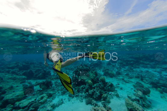 plongée dans le lagon de bora bora
