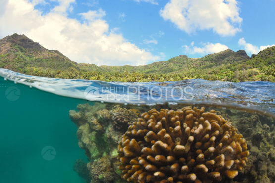 plage sauvage de anaho, nuku hiva