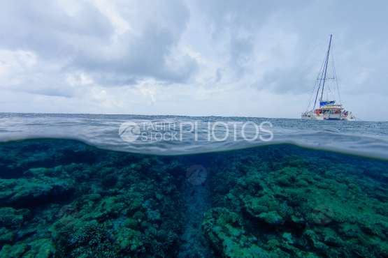 Voilier ancré sur le récif corallien de tetiaroa