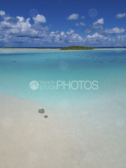 Rangiroa, sting rays, blue lagoon, atoll