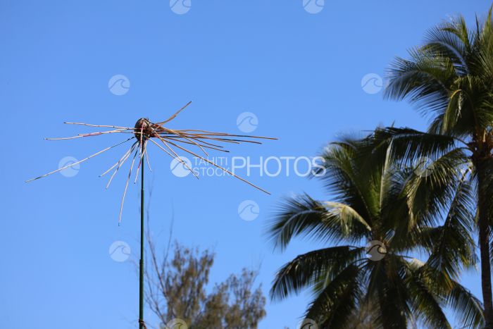 Tuaro games, traditional polynesian sports, target of javelin, Polynesia