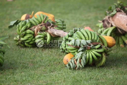 Concours de porteurs de fruits, bananes sur le sol