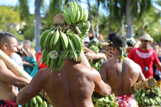 Tahiti, Hommes polynésiens portant des régimes de bananes sur l'épaule, Course des porteurs de fruits, Tuaro Maohi, Polynésie