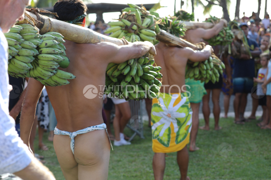 Tahiti, Hommes polynésiens portant des régimes de bananes sur l'épaule, Course des porteurs de fruits, Tuaro Maohi, Polynésie