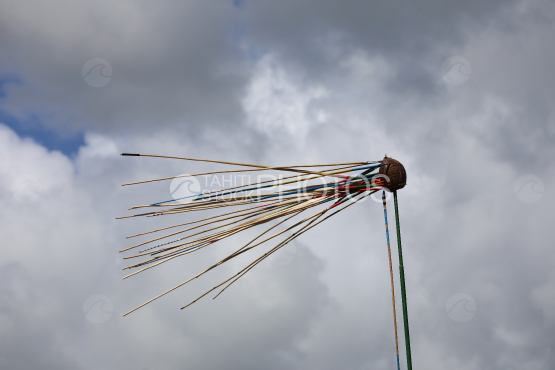 Tahiti, Cible, Noix de coco, concours traditionnel du lancer de javelot, Tuaro Maohi, Polynésie