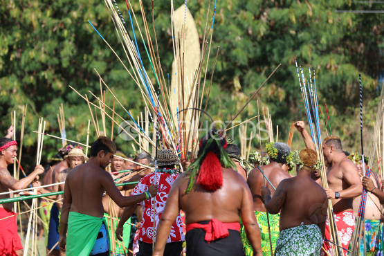 Tahiti, Cible noix de coco et javelots plantés, concours traditionnel du lancer de javelot, Tuaro Maohi, Polynésie