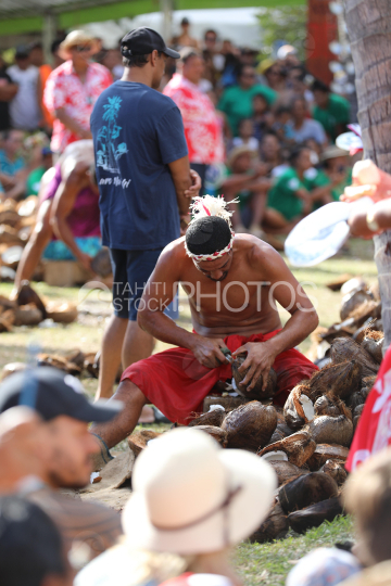 Tahiti, Homme polynésien décortiquant les noix de coco, Councours Traditionnel Tuaro Maohi, Polynésie