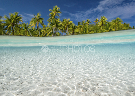 Fakarava, Cocoteraie au bord du lagon, Atoll, Polynésie française