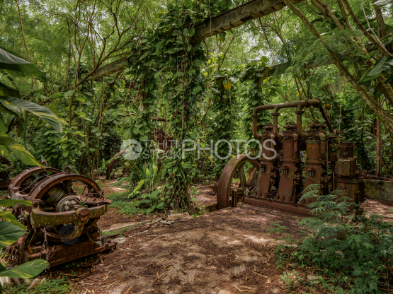 Ancienne usine de Makatea en ruine, rouillée, Tuamotu, Polynésie
