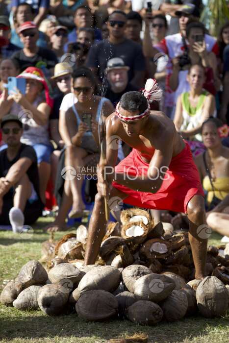 Compétition sportive polynésienne traditionnelle, décorticage de noix de coco, Tahiti, Polynésie française