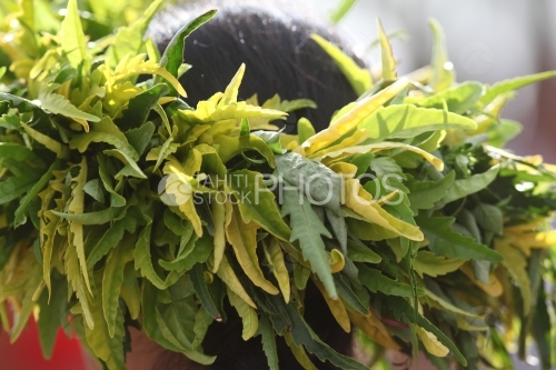 Leaves Crown, Couronne de feuilles