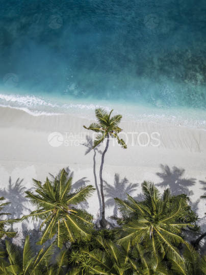 High resolution photos lagoons and beaches Polynesia